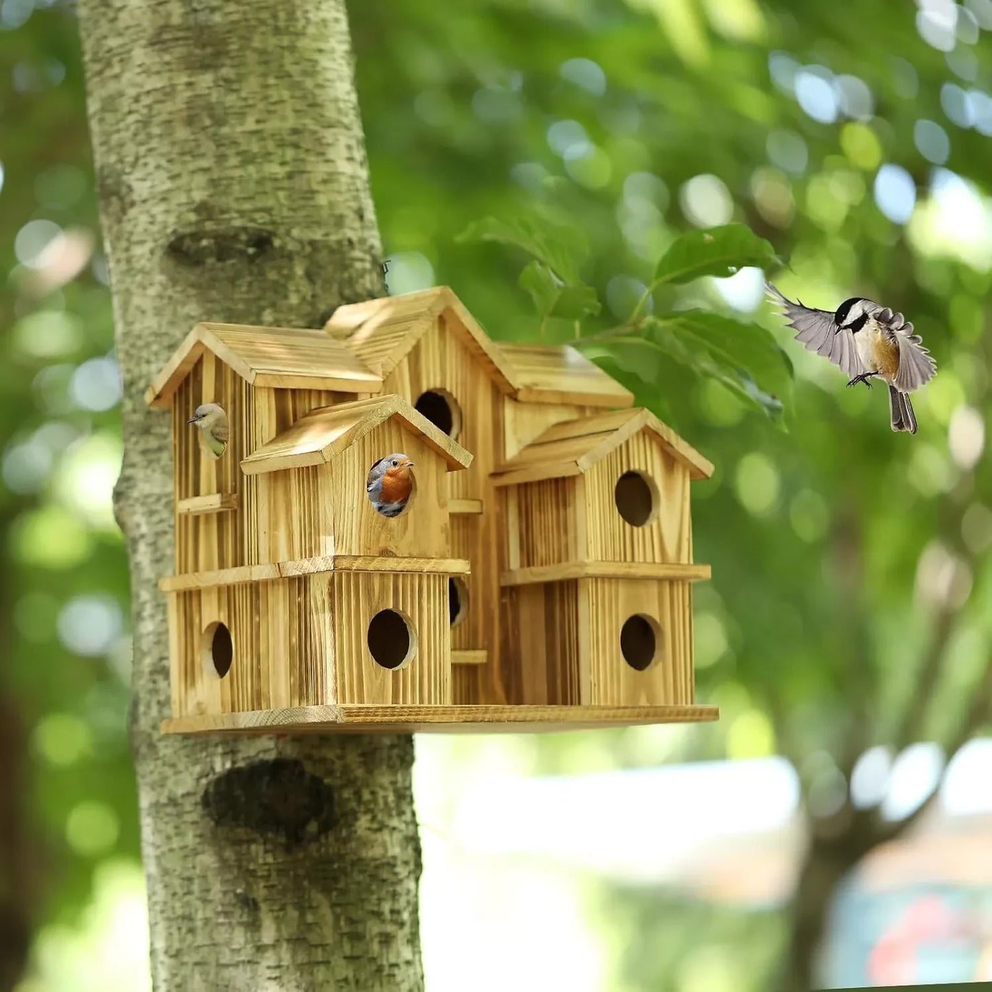 Chickadee flying to one of the ten entrance holes of the large wooden birdhouse