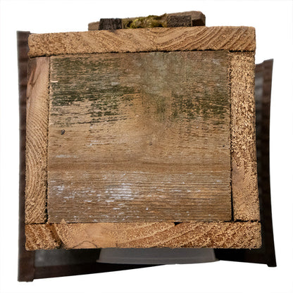 Kooky Chickadee Cottage, Natural
