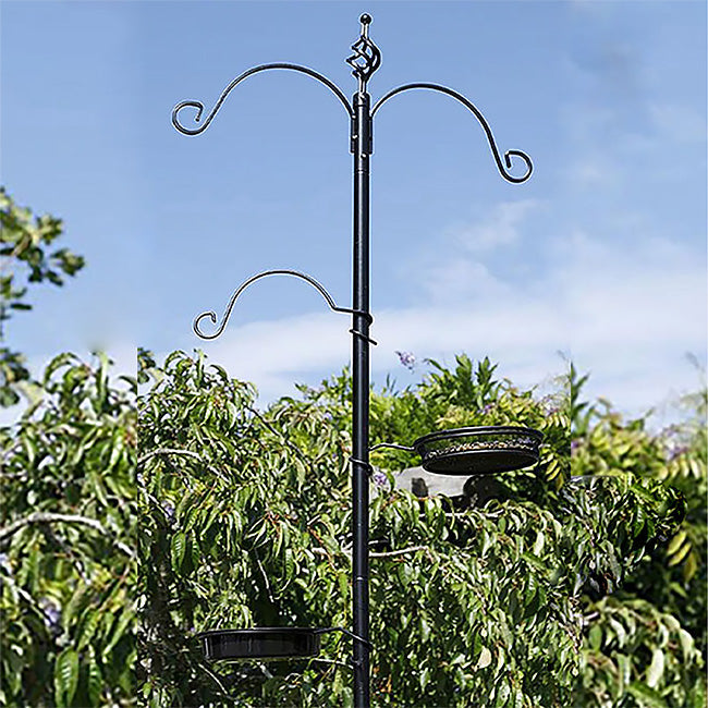 Essex Bird Feeding Station Kit, Black, 6'7"