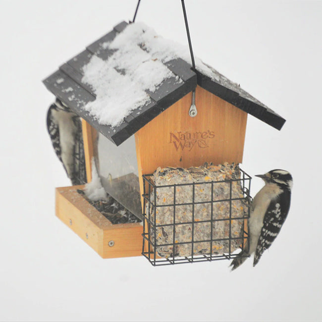 Cedar Hopper Bird Feeder with Suet Cages, Small