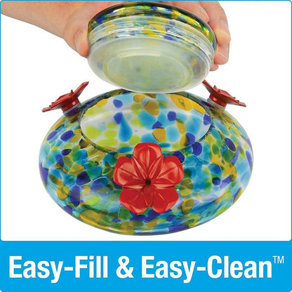 Illuminated Top Glass Hummingbird Feeder, 16 oz