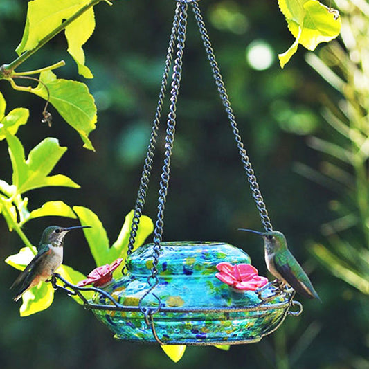 Illuminated Top Glass Hummingbird Feeder - BIRDLOVER