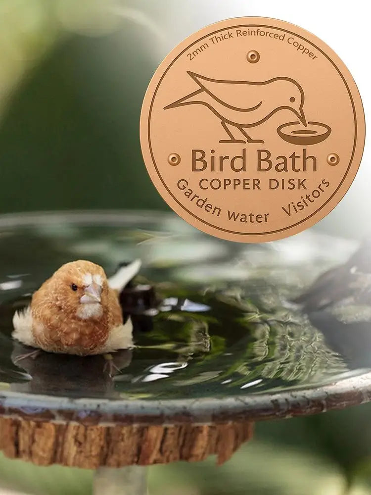 Copper Bird Bath Disk — Keeps Water Clear Without Chemicals