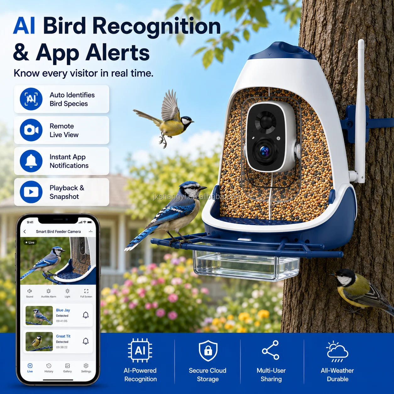 Phone app showing live view, instant notifications and playback from the bird feeder camera