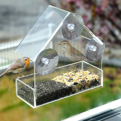 House Window Bird Feeder — Clear Acrylic with 3 Suction Cups