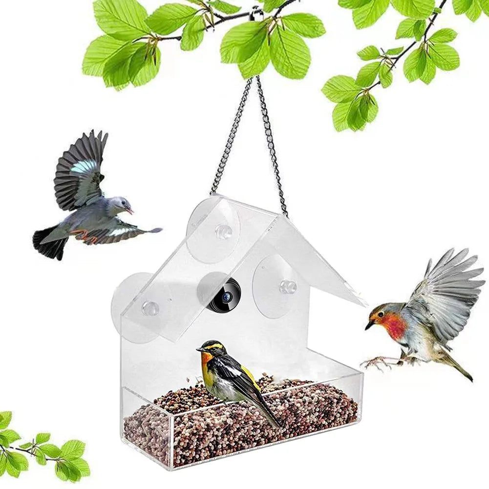 House style clear bird feeder with pitched roof and suction cups, two birds at the seed tray
