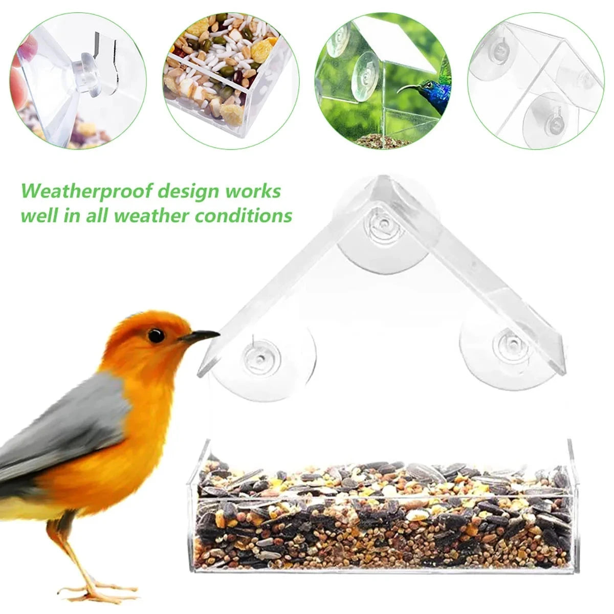 House Window Bird Feeder — Clear Acrylic with 3 Suction Cups