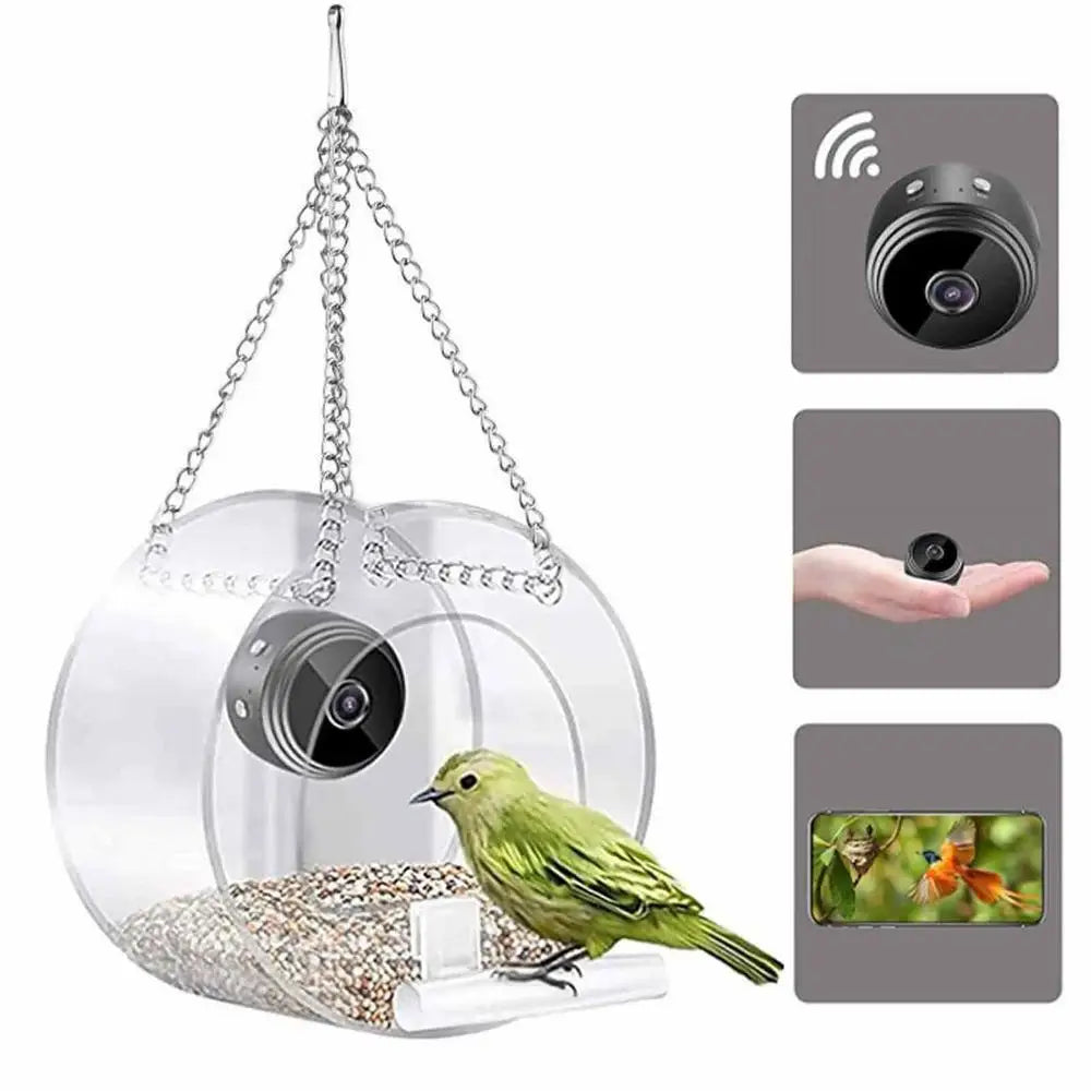 Round clear acrylic mini bird feeder hanging from a chain with a small bird feeding