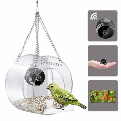 Round clear acrylic mini bird feeder hanging from a chain with a small bird feeding