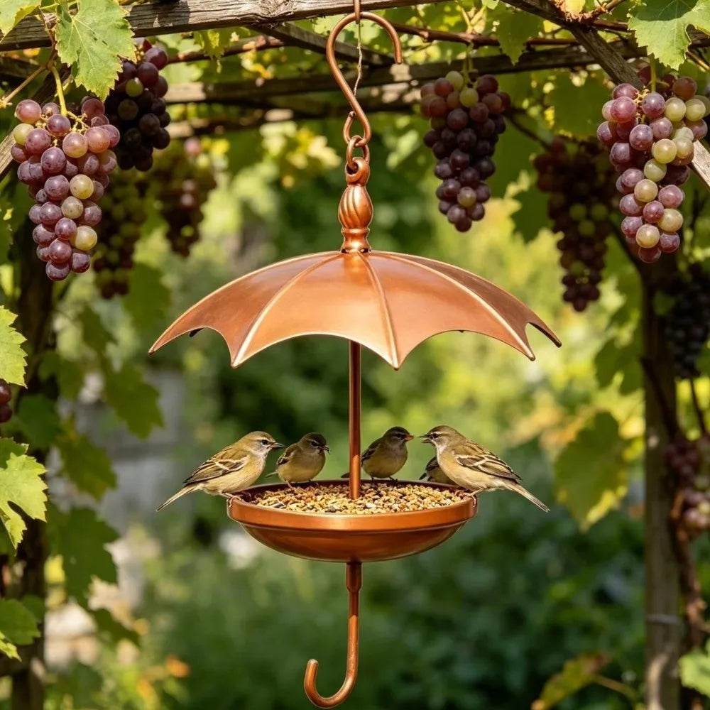 Gold Umbrella Bird Feeder — Iron Hanging Feeder with Rain Guard
