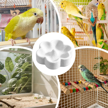 Pumice Bird Feeding Dish — Trims Beaks and Claws While They Eat
