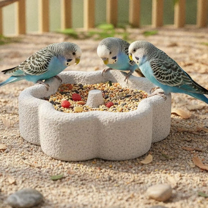Pumice Bird Feeding Dish — Trims Beaks and Claws While They Eat