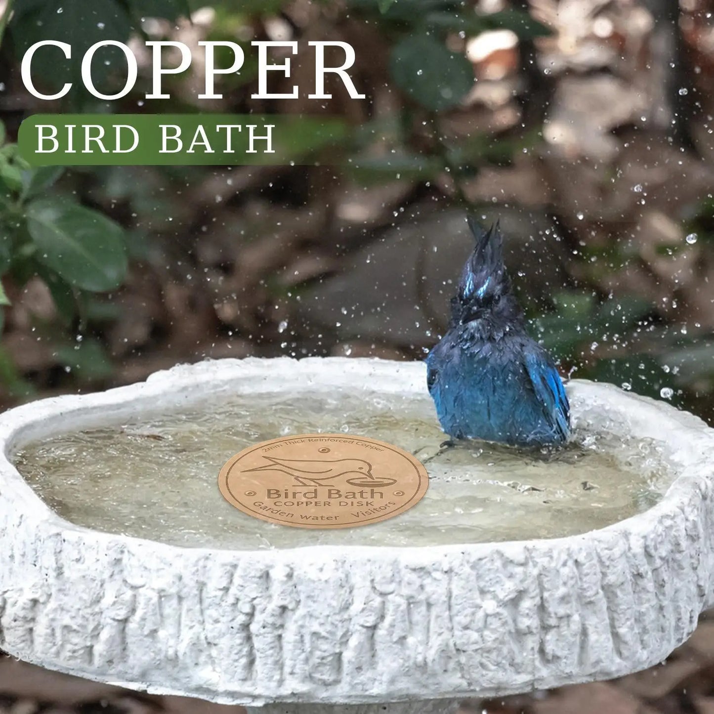 Copper Bird Bath Disk — Keeps Water Clear Without Chemicals