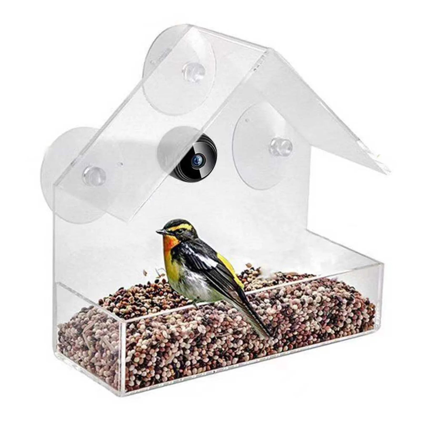 Close view of the house style clear feeder showing the suction cups and seed tray