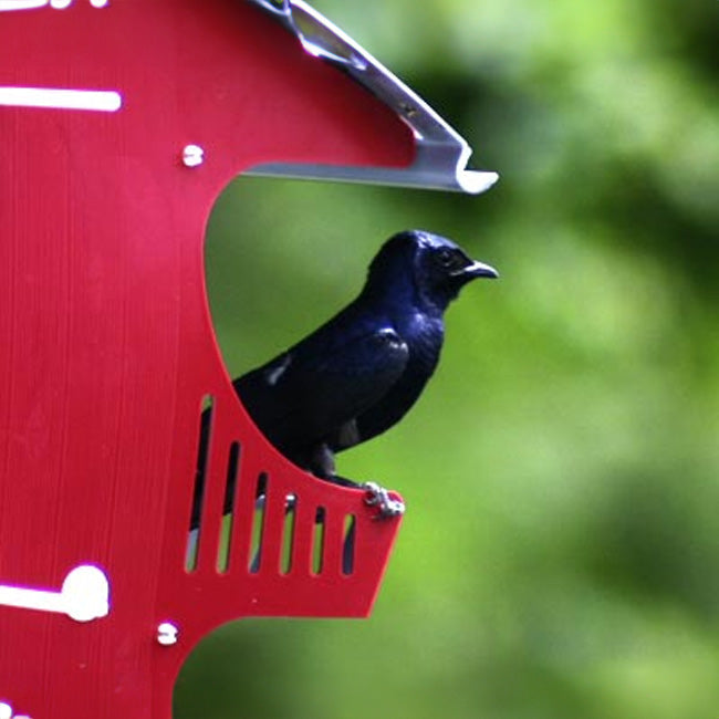 Purple Martin Barn House - 16 Rooms