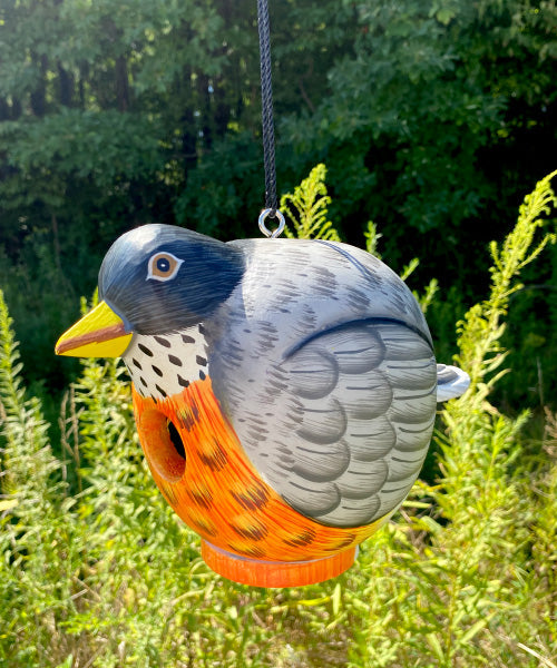 Songbird Essentials Gord-O Bird House, Robin - BIRDLOVER