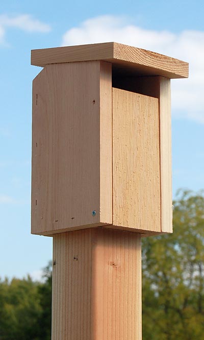 Sparrow-Resistant Bluebird House - BIRDLOVER
