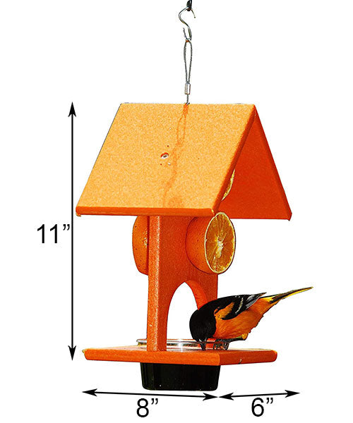 Recycled Plastic Fruit and Jelly Bird Feeder