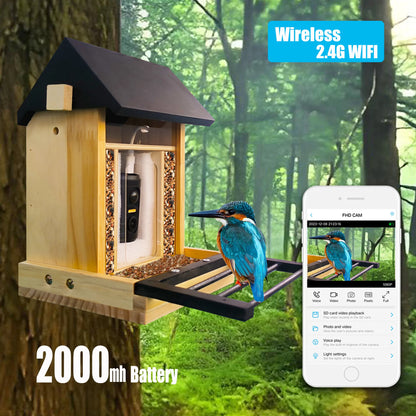Bird Feeder Camera with Night Vision — 1080P, Solar, Works Without WiFi