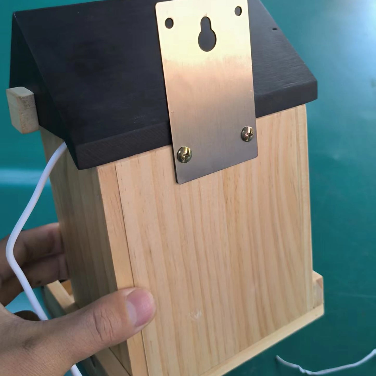 Bird Feeder Camera with Night Vision — 1080P, Solar, Works Without WiFi