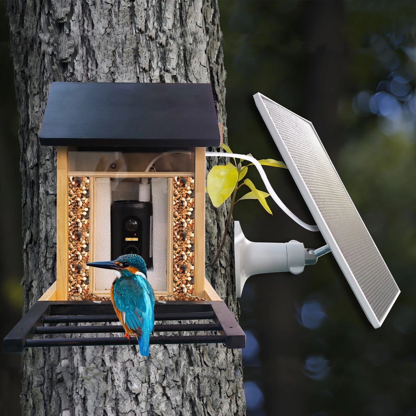 Bird Feeder Camera with Night Vision — 1080P, Solar, Works Without WiFi