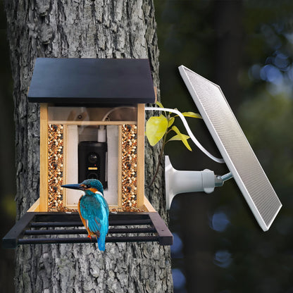 Bird Feeder Camera with Night Vision — 1080P, Solar, Works Without WiFi