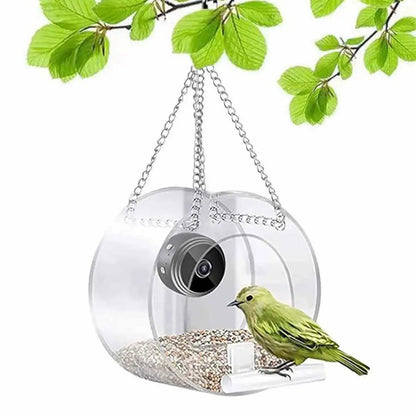 Round mini bird feeder hung from a branch with a small bird perched at the opening