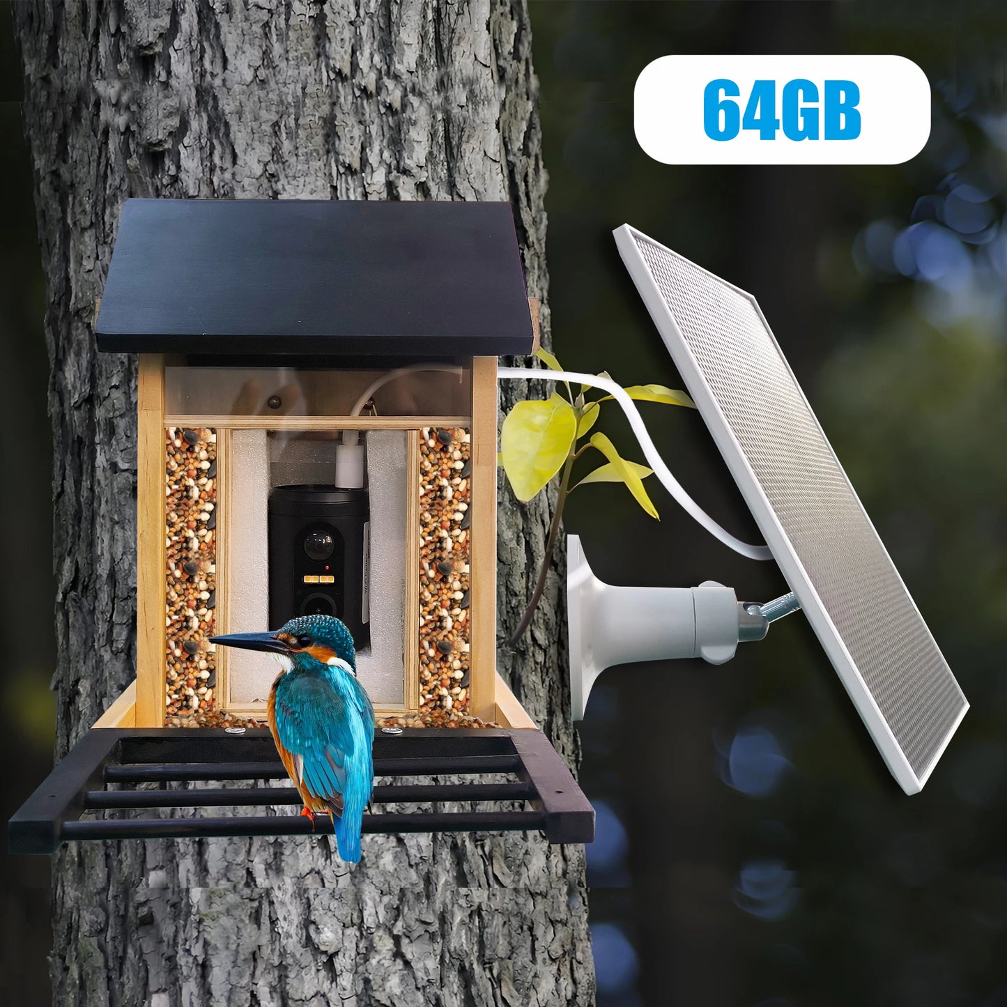 Bird Feeder Camera with Night Vision — 1080P, Solar, Works Without WiFi