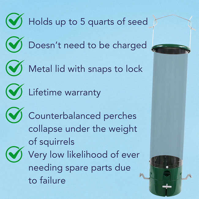 Bouncer Squirrel Proof Bird Feeder