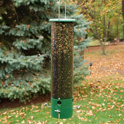 Bouncer Squirrel Proof Bird Feeder