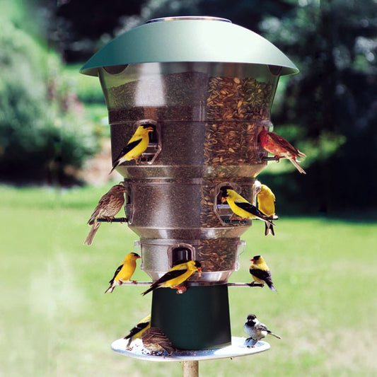 Electronic 12 port Squirrel Proof Bird Feeder - BIRDLOVER
