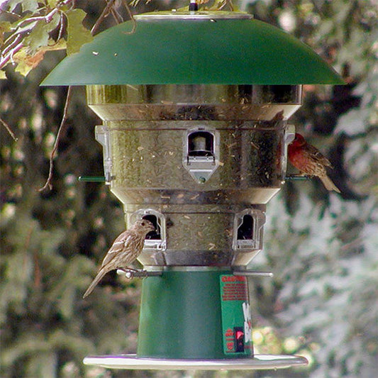 Electronic 8 Port Squirrel Proof Bird Feeder - BIRDLOVER