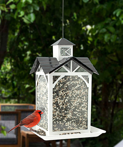 Modern Farmhouse Metal and Glass Stable Bird Feeder - BIRDLOVER
