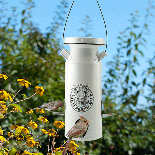 Milkhouse Vintage White Milk Can Bird Seed Feeder - BIRDLOVER