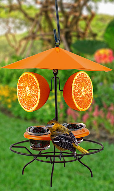 Patio Table with Umbrella Oriole Feeder