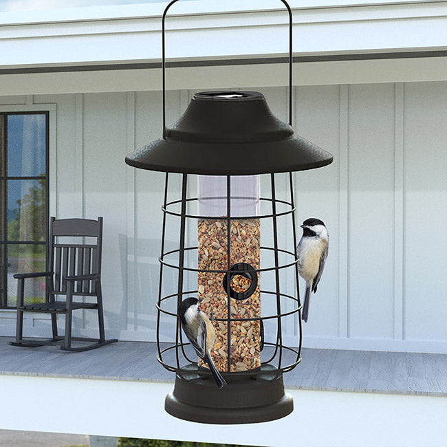 Modern Farmhouse Solar Lantern Tube Bird Feeder