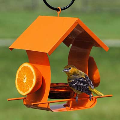 Orange Metal Six Station Oriole Feeder - BIRDLOVER