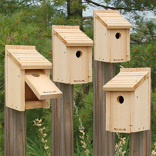 Woodlink Bluebird Houses 4 Pack - BIRDLOVER
