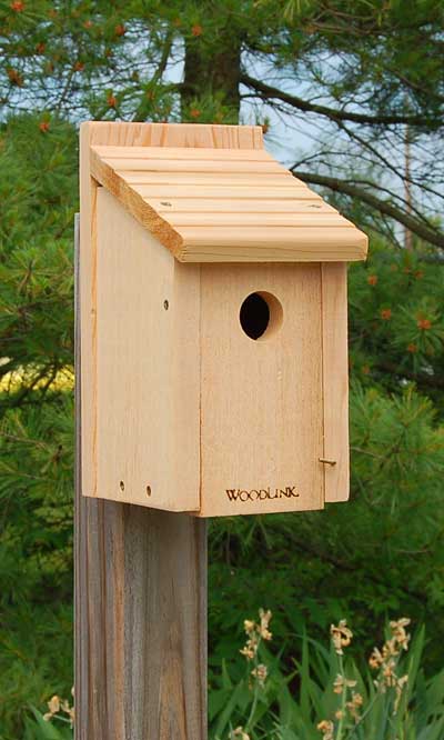 Woodlink Bluebird House - BIRDLOVER