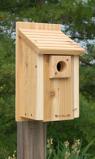 Traditional Bluebird House - BIRDLOVER