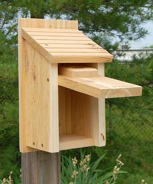 Traditional Bluebird House