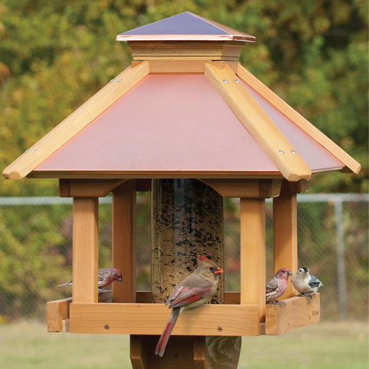 Coppertop Gazebo Bird Feeder, Large - BIRDLOVER