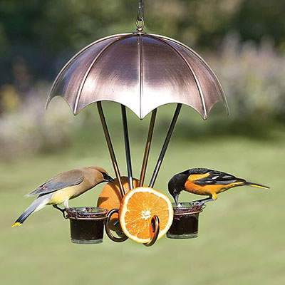 Brushed Copper Oriole Feeder - BIRDLOVER