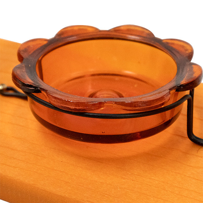 Going Green Recycled Plastic Oriole and Bluebird Feeder