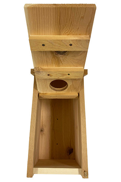 Kestrel and Screech Owl House