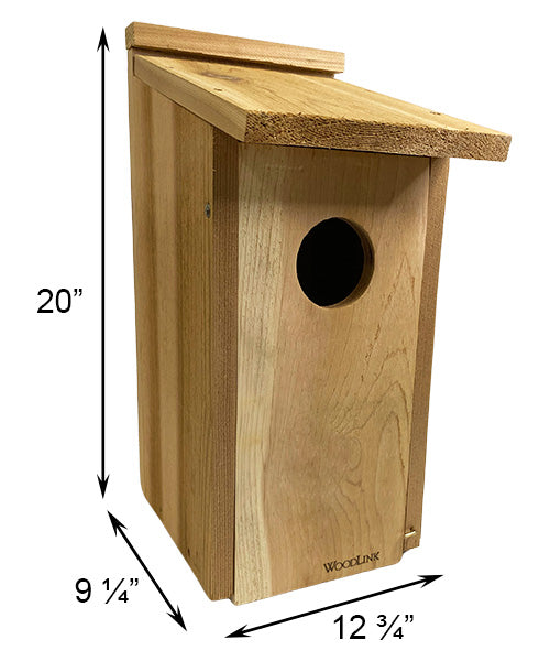 Kestrel and Screech Owl House