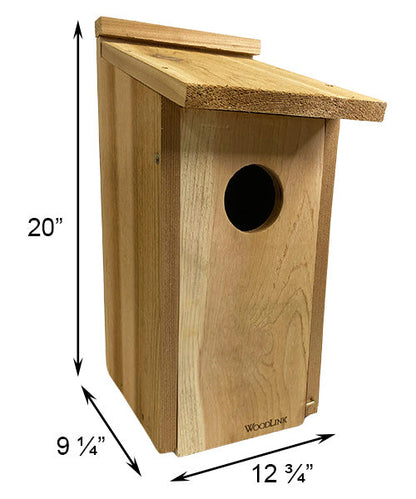 Kestrel and Screech Owl House