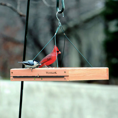 3in1 Platform Bird Feeder