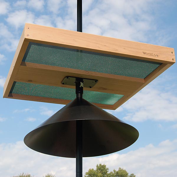 Giant Pole Mounted Seed Tray with Pole Adapter