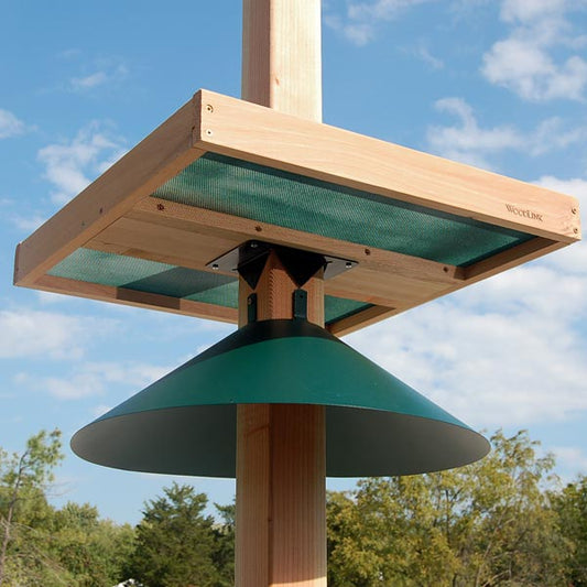 Giant Post Mounted Seed Tray with 4x4 Adapter - BIRDLOVER